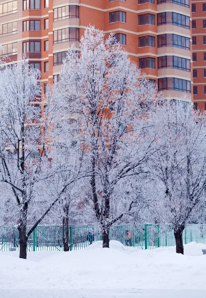 Snowy Winter Landscape — Stock Photo, Image