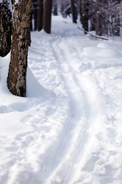 Лыжная дорога — стоковое фото