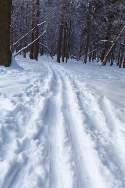 Ski Road — Stock Photo, Image