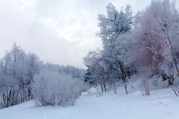 Сніжне зимовий пейзаж — стокове фото