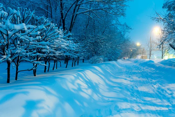 Scena notturna invernale della città — Foto Stock