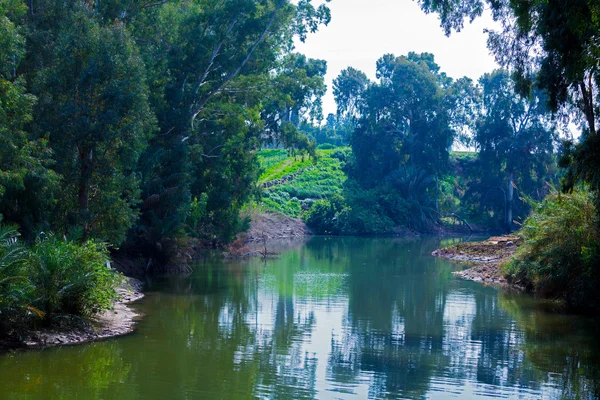 Orillas del río Jordán en el sitio bautismal —  Fotos de Stock