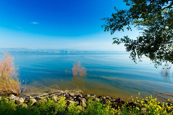 Пейзаж озера Киннерет - Галилейское море — стоковое фото