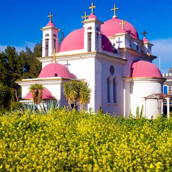 东正教教会和芥菜田在加利利海附近的 — 图库照片