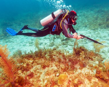 zıpkını ile Scuba diver
