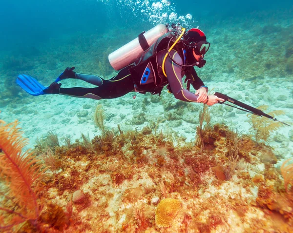 Zıpkını ile Scuba diver — Stok fotoğraf