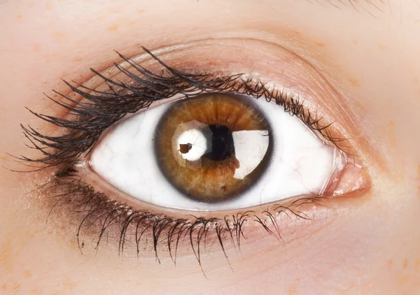 Woman's brown eye — Stock Photo, Image