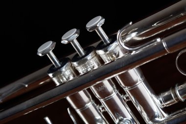 siyah arka plan üzerinde güzel trompet