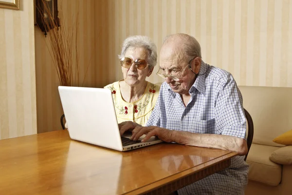 Älteres Ehepaar mit Laptop — Stockfoto