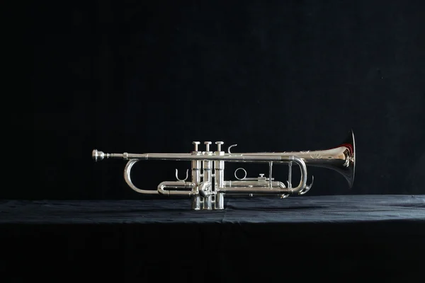 Nice trumpet on black background — Stock Photo, Image