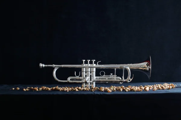 Siyah arka plan üzerinde güzel trompet — Stok fotoğraf