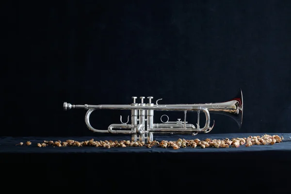 Nice trumpet on black background — Stock Photo, Image