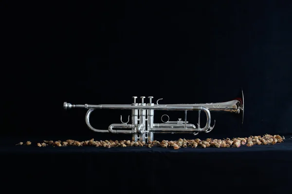 Trevlig trumpet på svart bakgrund — Stockfoto