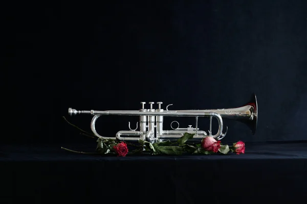 Nice trumpet on black background — Stock Photo, Image