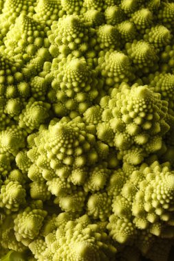 Romanesco lahanası