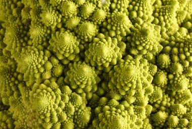 Romanesco lahanası