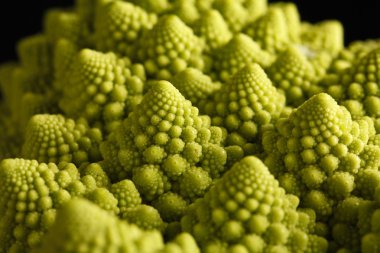 Romanesco lahanası