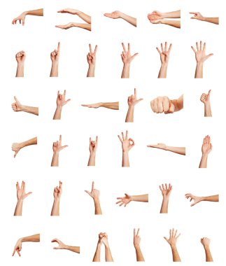 Collage of hands on white backgrounds clipart