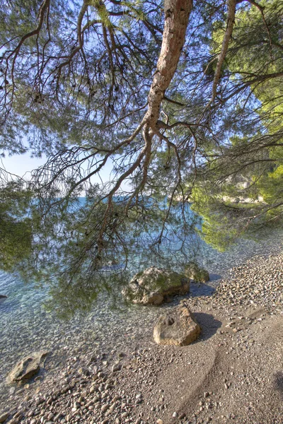 Plage méditerranéenne — Photo