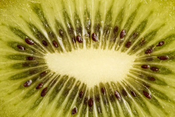 Podsvícený plátek ovoce kiwi — Stock fotografie