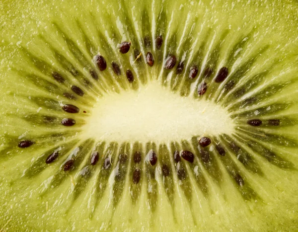 Podsvícený plátek ovoce kiwi — Stock fotografie
