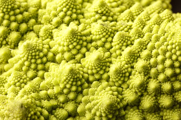 Romanesco kool — Stockfoto