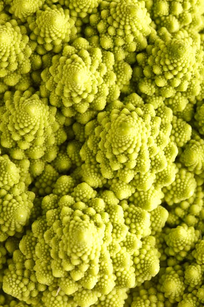 Romanesco Cabbage — Stock Photo, Image