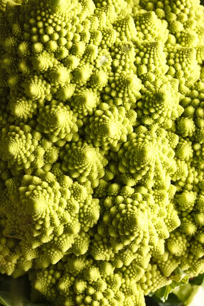Romanesco Cabbage — Stock Photo, Image