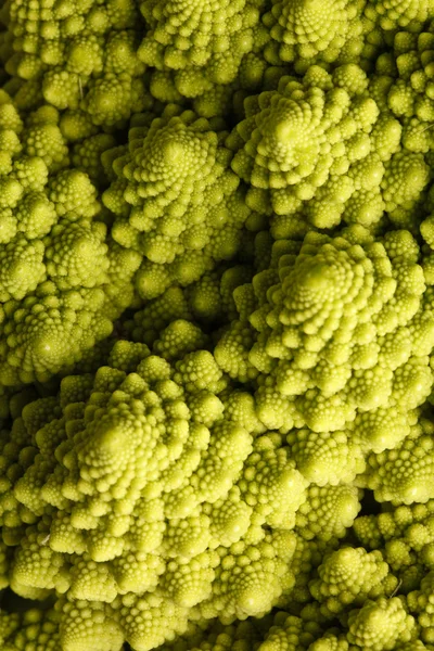 Romanesco Cabbage — Stock Photo, Image