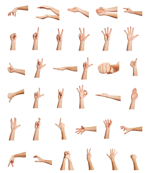 Collage of hands on white backgrounds — Stock Photo, Image