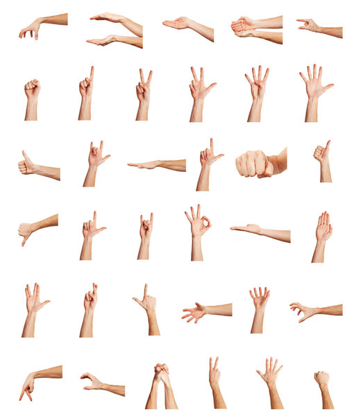 Collage of hands on white backgrounds