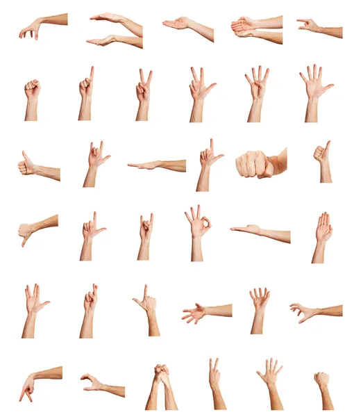 Collage av händerna på vit bakgrund Stockbild