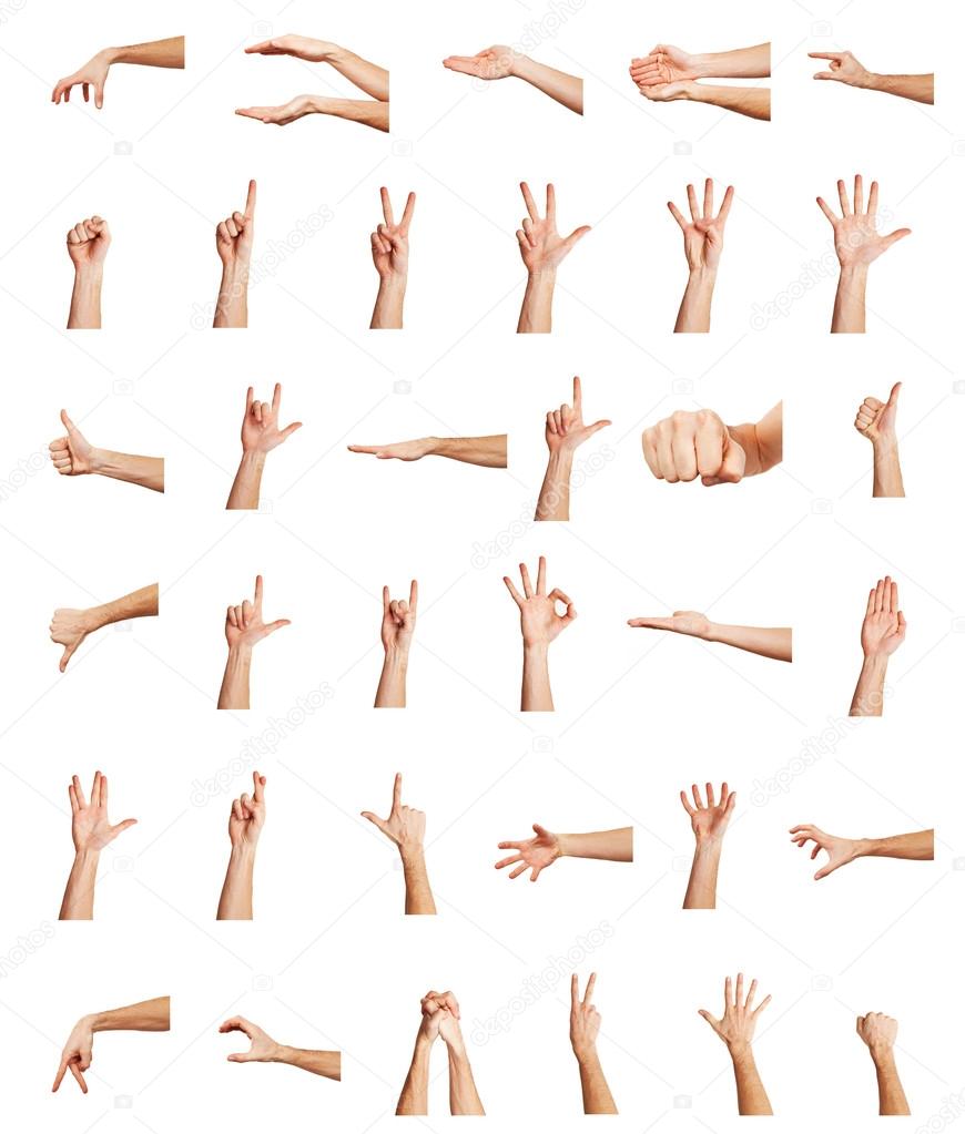 Collage of hands on white backgrounds