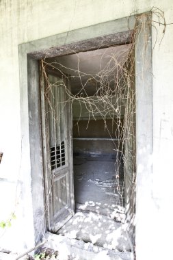 eski vintage kapı