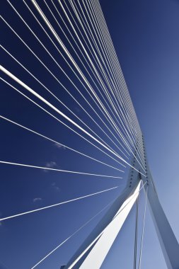 Erasmusbridge