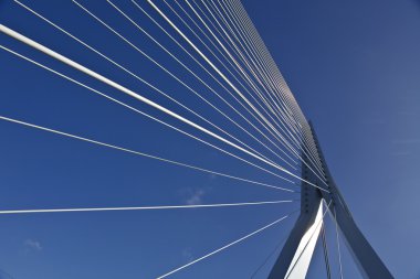 Erasmusbridge