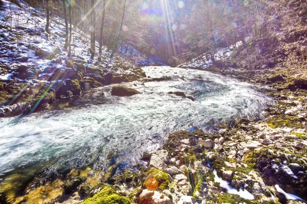 River in winter season — Stock Photo, Image