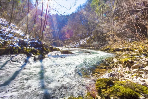 River in winter season — Stock Photo, Image