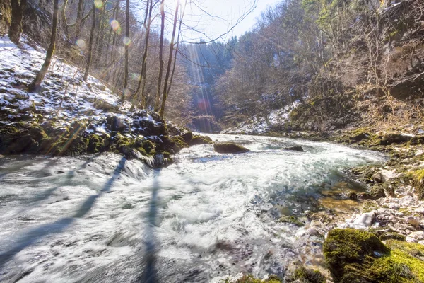 River in winter season — Stock Photo, Image