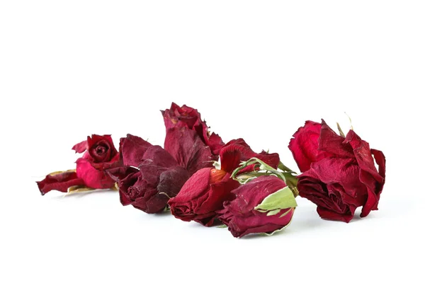 Dried roses on white background — Stock Photo, Image