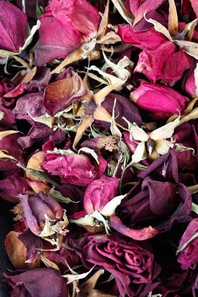 Dried roses background — Stock Photo, Image