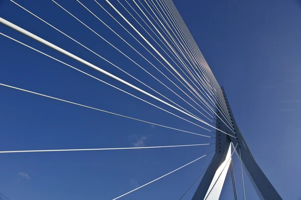 Erasmusbridge