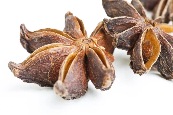 Bunch of anise stars on white background — Stock Photo, Image