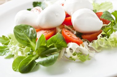 mozzarella ve domates üzerinde yeşil salata, Italyan Mutfagi