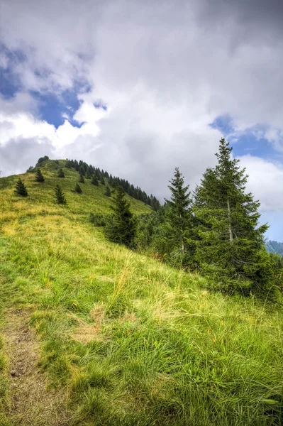 Vallée de montagne nuageuse — Photo