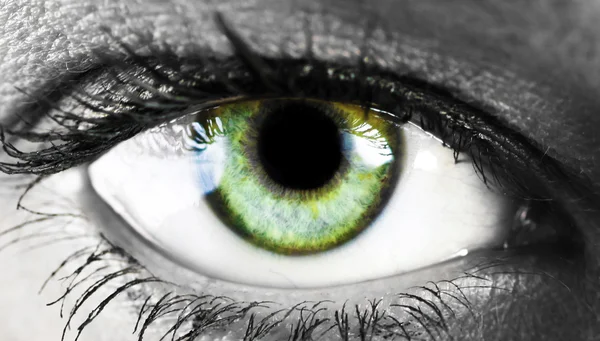 Girl's green eye close up — Stock Photo, Image