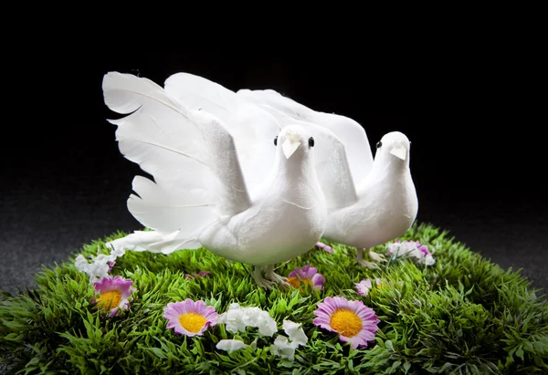 Duas pombas na grama com flores — Fotografia de Stock