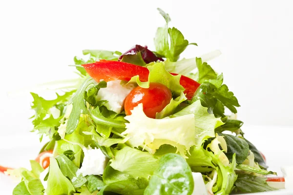 Зеленый салат с сыром фета, помидорами и перцем — стоковое фото