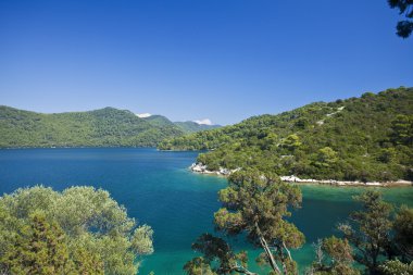 mijlet Island, güzel Hırvat deniz manzarası