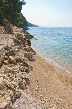 güzel kayalık sahil brac Adası, Hırvatistan